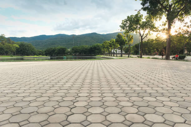 Best Driveway Pavers Near Me  in Dawson, MN